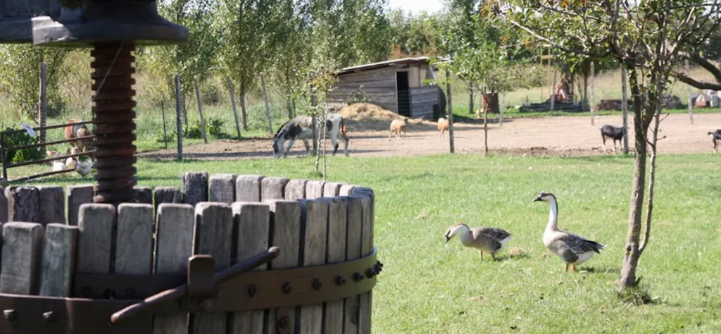 Agriturismo Corte Fienili_Guidizzolo_slider_image_2