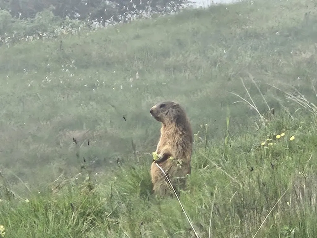 Roy Galili_Rifugio Tavecchia_Introbio_Bewertung
