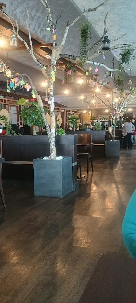 Massimo L._Ristorante giapponese 500_Inverigo_review