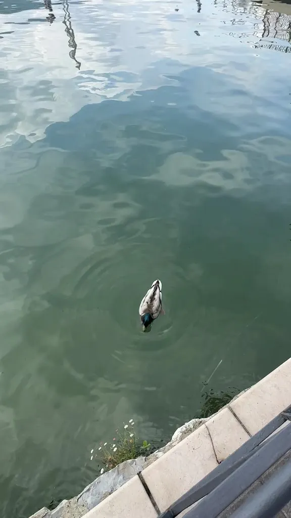 Nes The Veiled Side_Izé Restaurant_Iseo_review