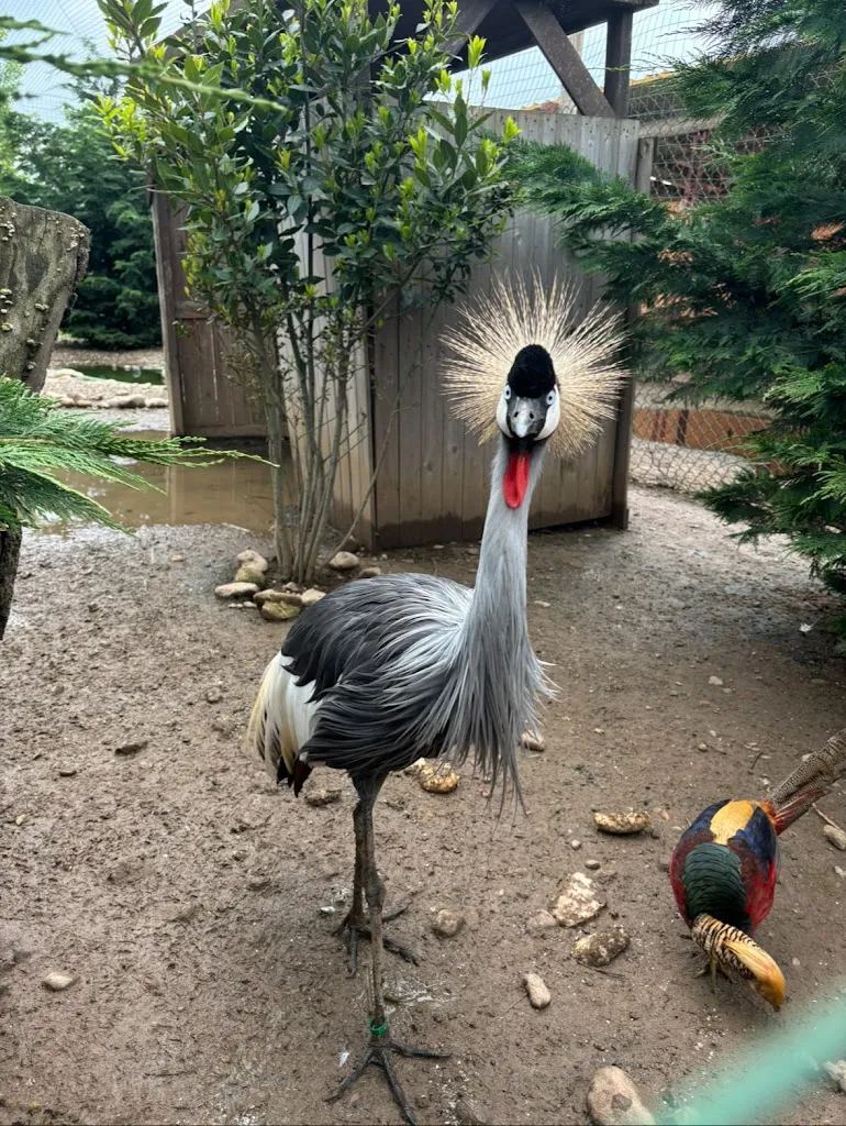 Iryna Lanko_Tenuta Bramasole_Inveruno_review