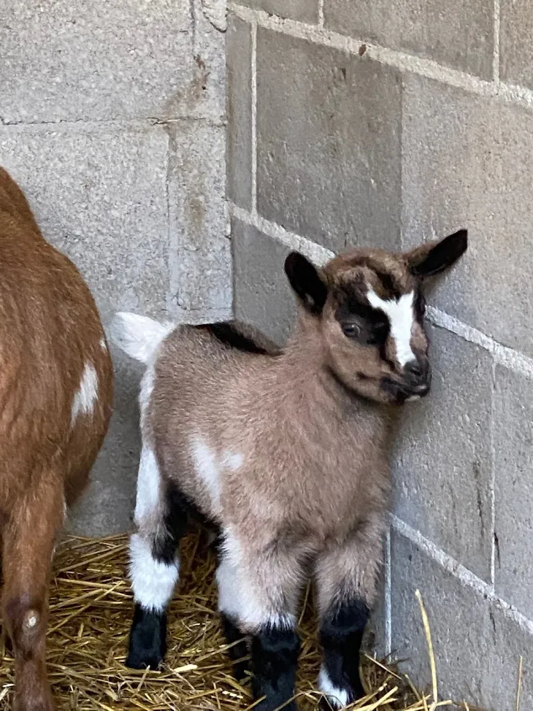 Tenuta Bramasole_Inveruno_slider_image_3