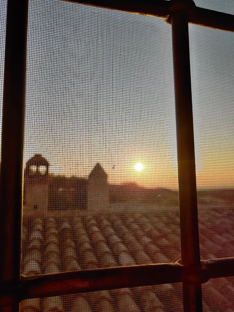 Marysa Di Nuzzo_I Grifoni_Ascoli Satriano_recensione