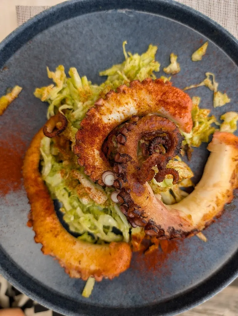 Chiara Garofoli_Vespucci Ispra_Ispra_review