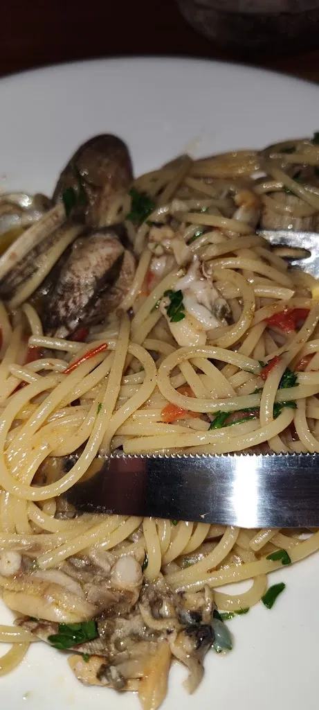 Menu_Maion Pub Di Di Marco Leone & Iommarini Teresa S.N.C._Borgo Santa Maria Immacolata_image_9