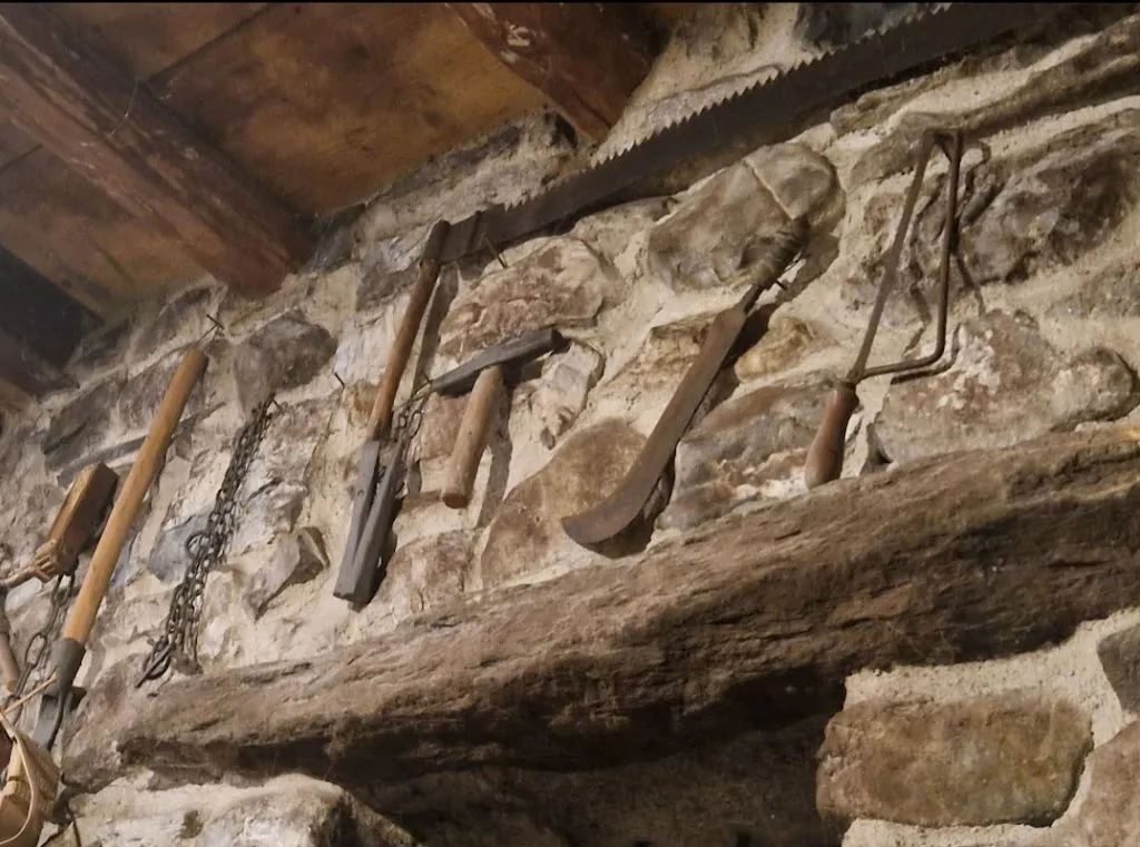 Anna Rapisarda_Agriturismo il Pollaio Didattico_Lasnigo_review