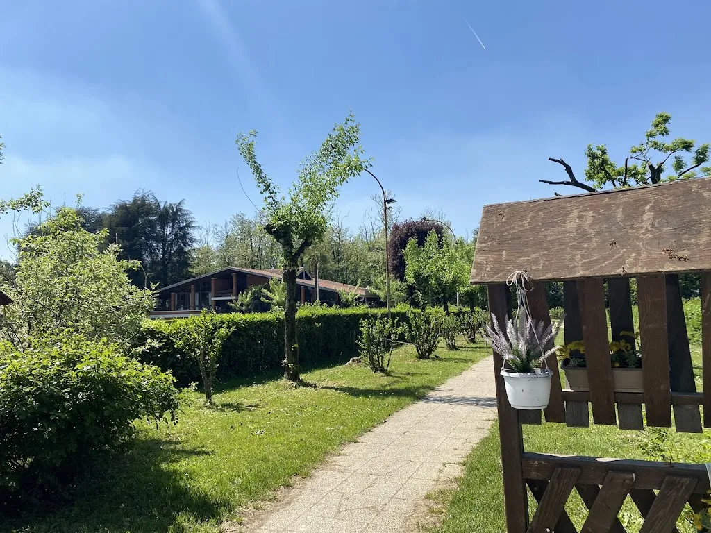 M Ser20_Club Horses_Lazzate_review