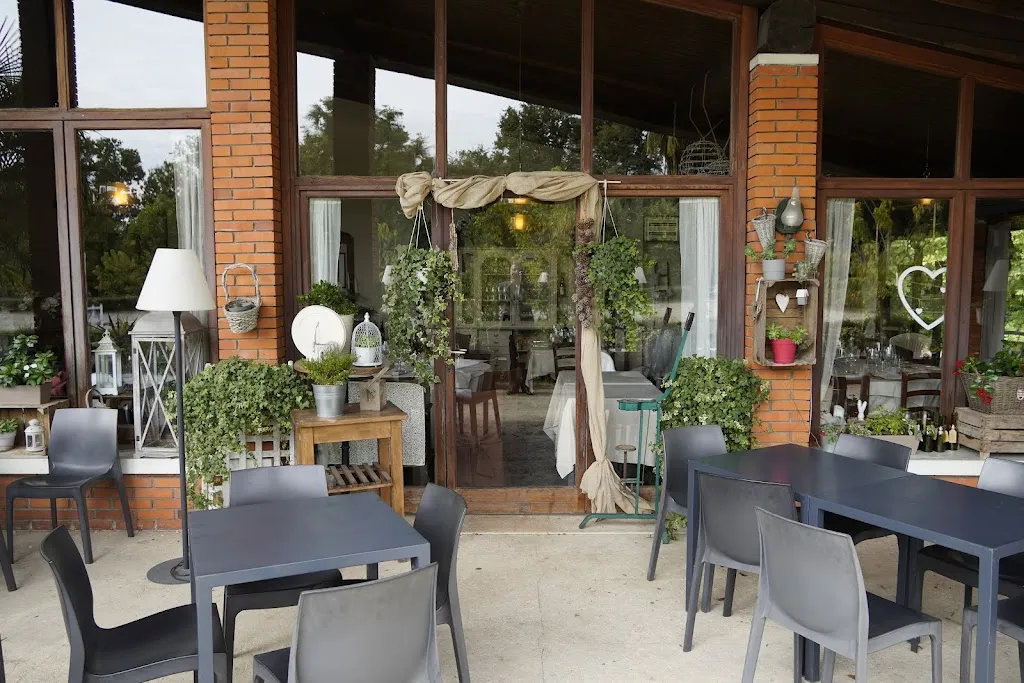 Arianna Settembre_Club Horses_Lazzate_review