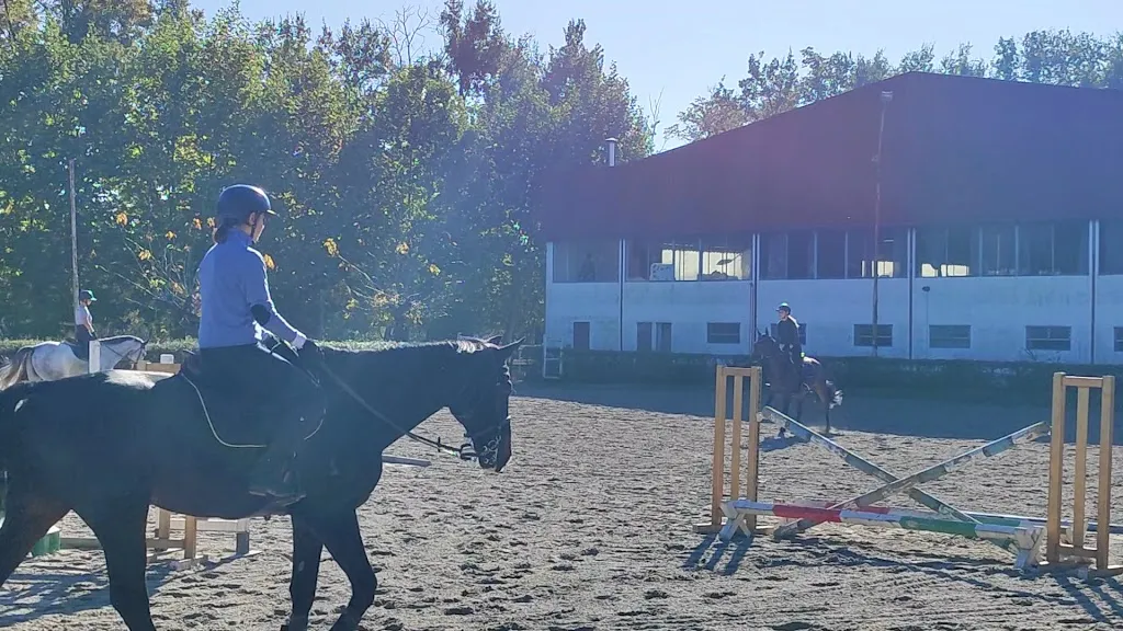 Club Horses_Lazzate_slider_image_2