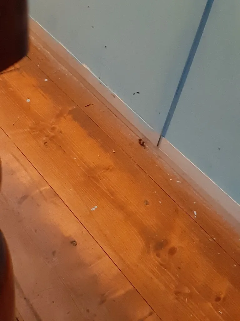 mara Fara_Ristorante 