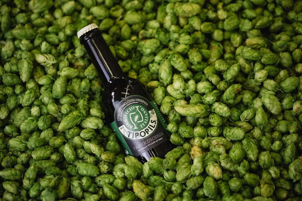 Brewery Italian - Workshop Alchemy_Limido Comasco_slider_image_2