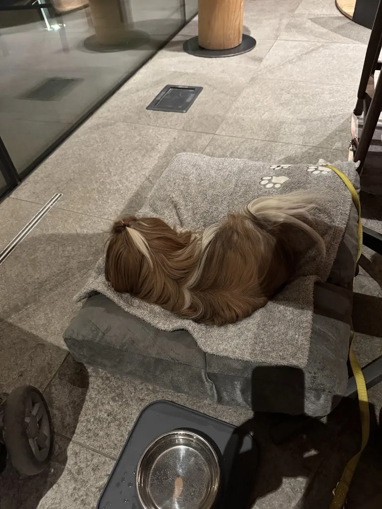 teresa marchione_Kosmo Taste the Mountain_Livigno_review