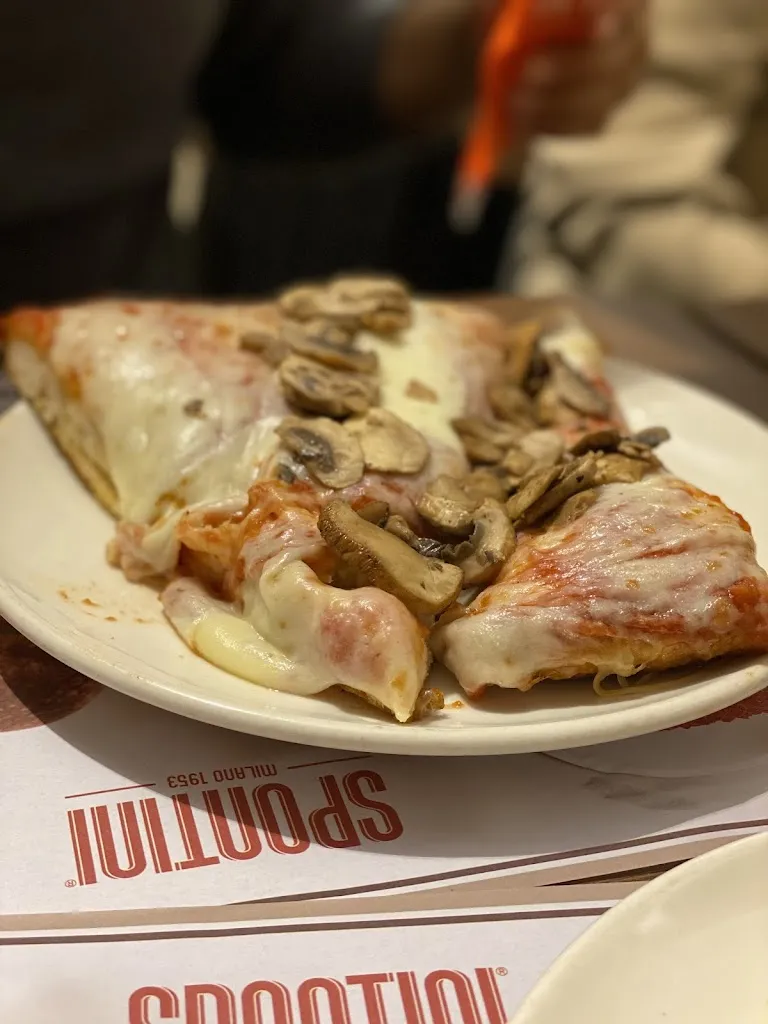 Fawzi Babtain_Spontini_Locate di Triulzi_review