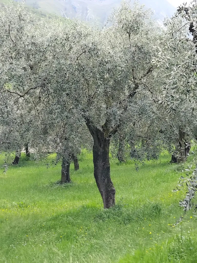 Moira O'Shea_Speck Stube l’originale - Malcesine_Limone sul Garda_review