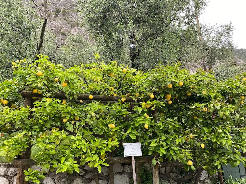 Jason Fox_Hotel Augusta_Limone sul Garda_review