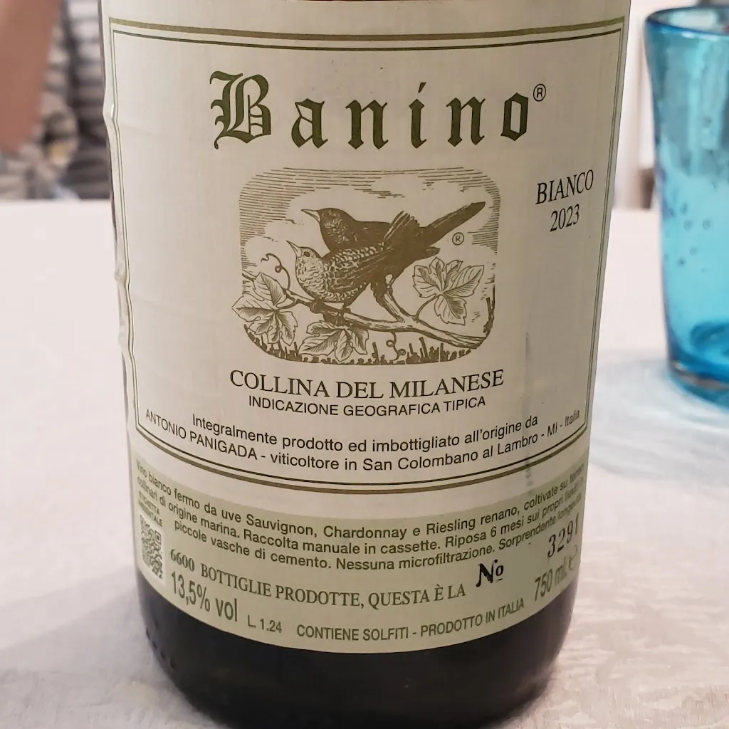 Ayaki Aron Hortz_La Petite Mondina_Lodi Vecchio_review