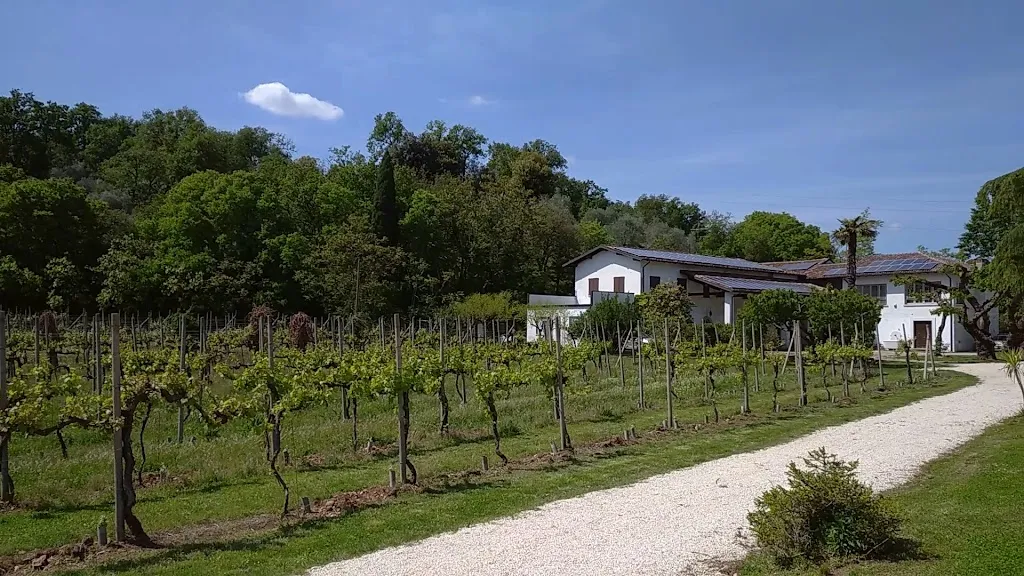 The farm Rovere_Lonato_slider_image_2