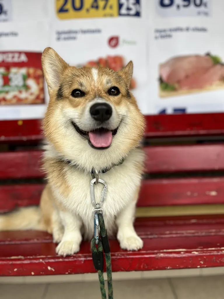 Roberto Massazza_Bar Zampatti_Lovero_review