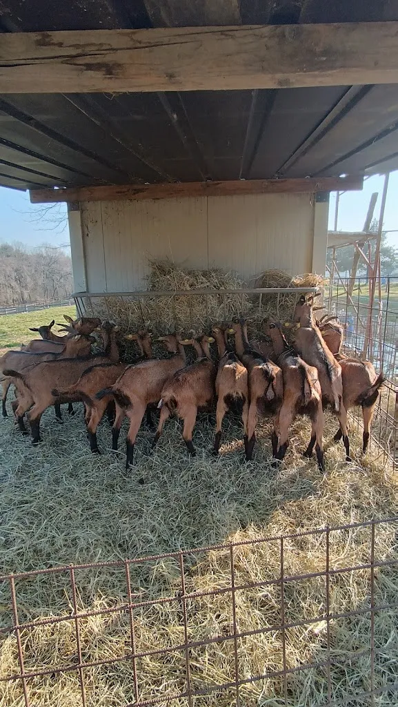 Ristorante Cascina del Poggio_Lurago Marinone_slider_image_3
