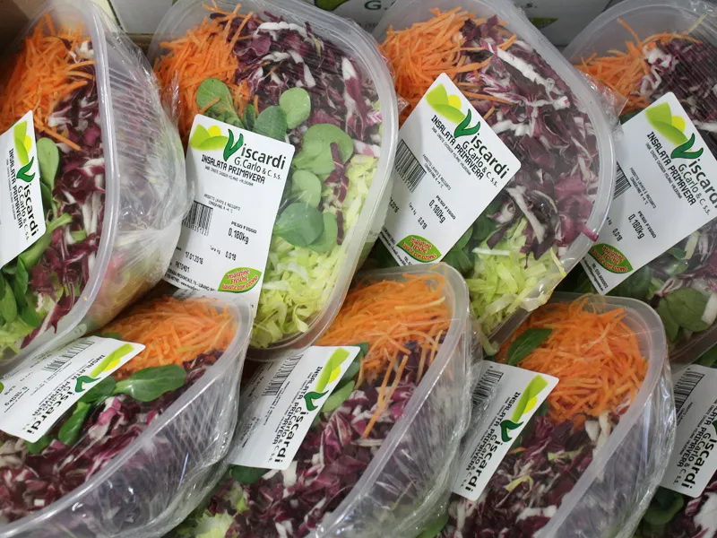 Menu_Viscardi G.Carlo Soc. Agricola & C. s.s._Lurano_immagine_2