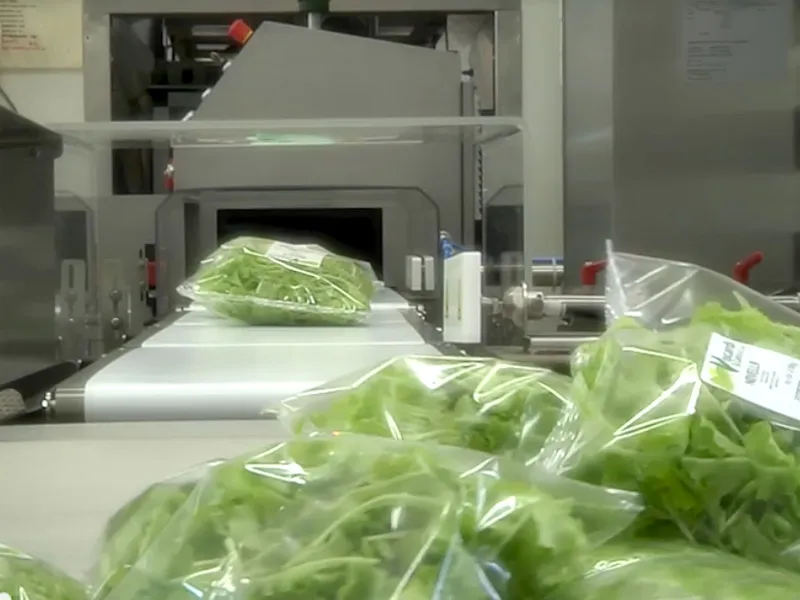 Menu_Viscardi G.Carlo Soc. Agricola & C. s.s._Lurano_immagine_4