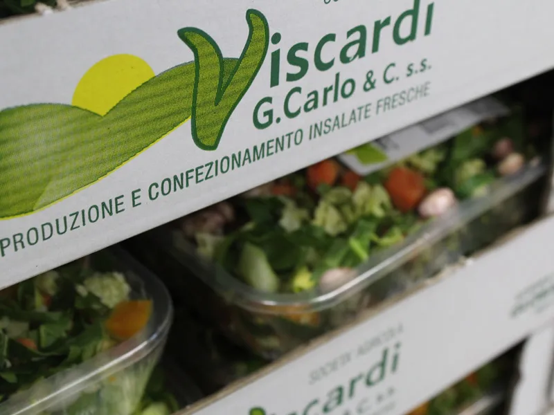 Menu_Viscardi G.Carlo Soc. Agricola & C. s.s._Lurano_immagine_5