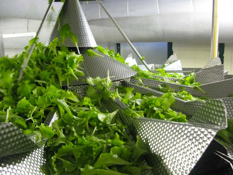 Viscardi G.Carlo Soc. Agricola & C. s.s._Lurano_slider_image_2