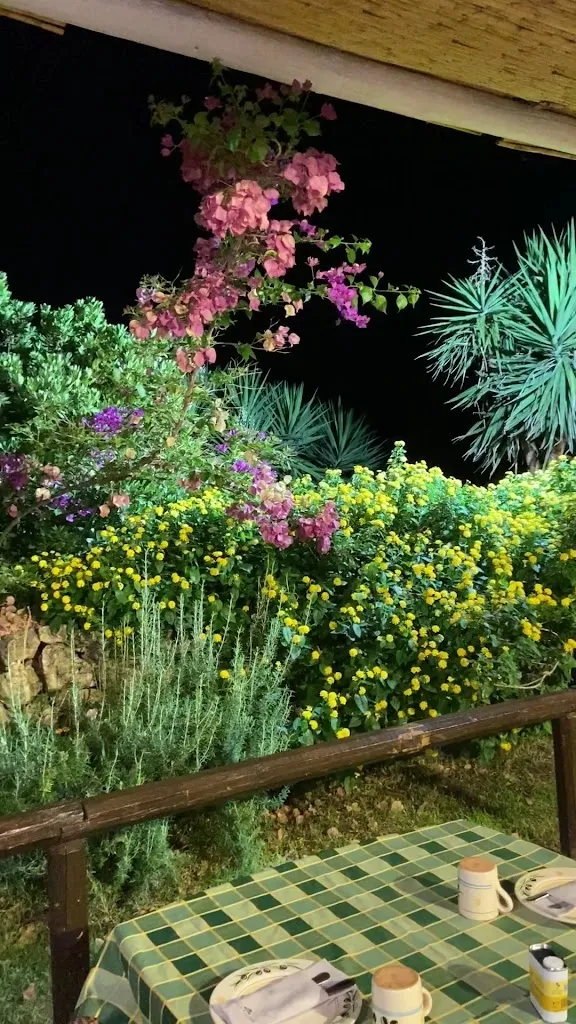 Marina Piccola Farm - Agriturismo_Avetrana_slider_image_2