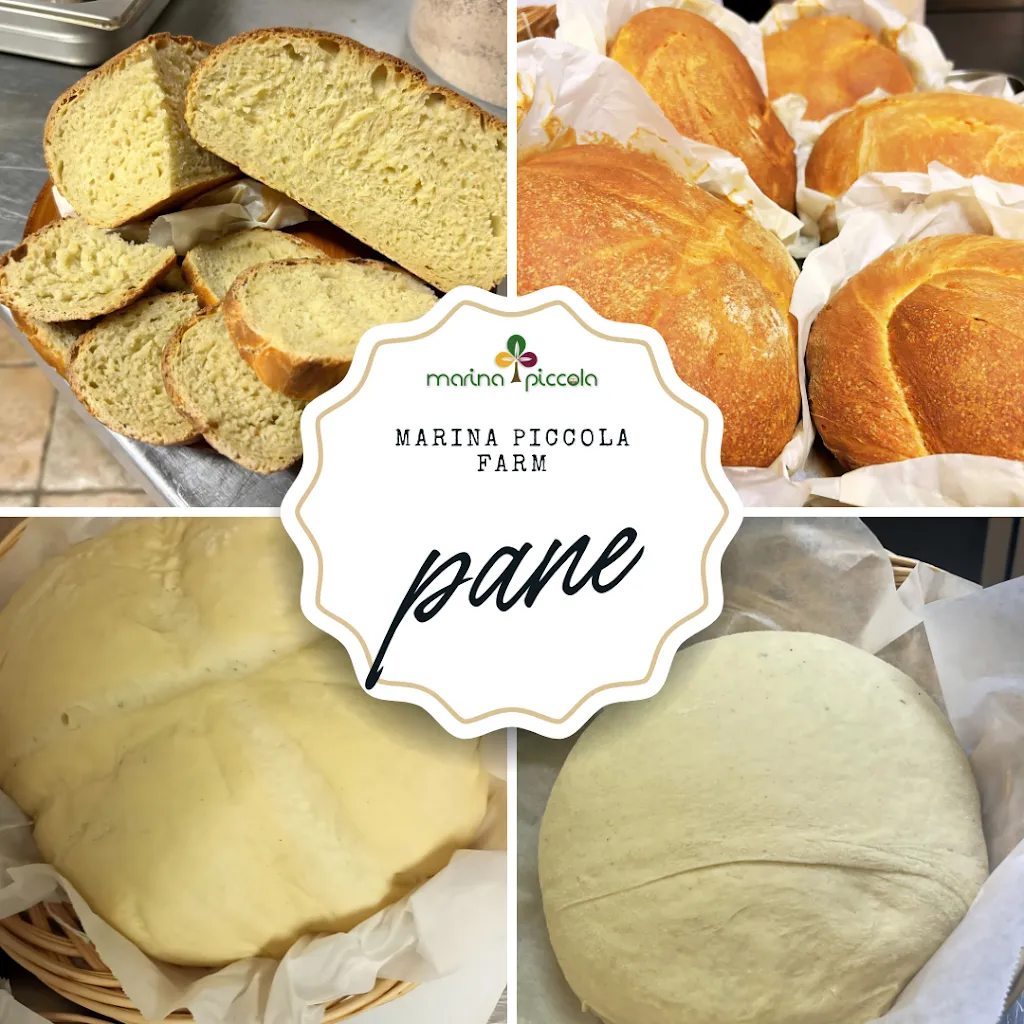 Marina Piccola Farm - Agriturismo_Avetrana_slider_image_3