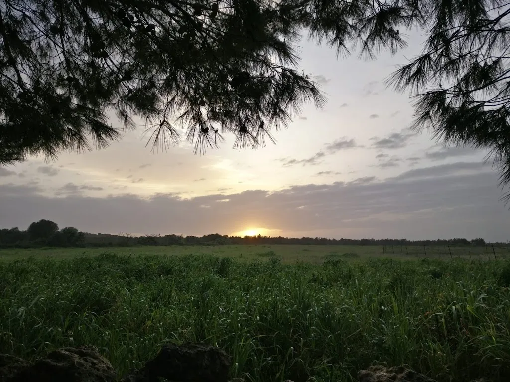 Enrica Sergi_Masseria Grottella - Resort - Location Eventi - Ristorante - Piscina_Avetrana_review