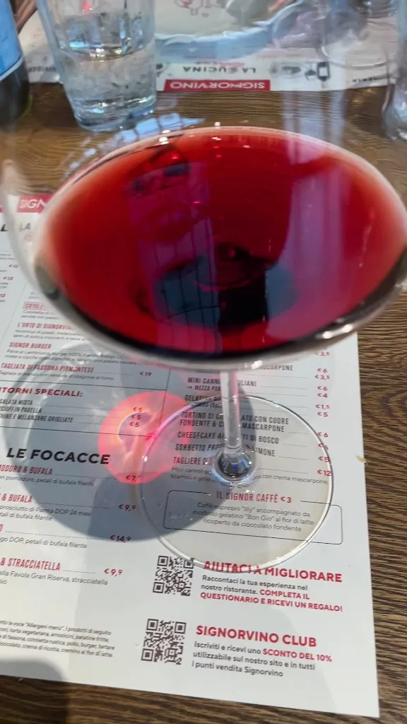 Manny_Signorvino Manerba Del Garda_Manerba del Garda_review