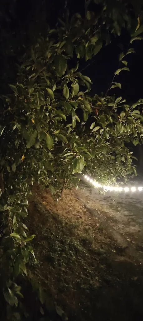 samuela viscardi_Osteria La Macchia_Manerbio_review