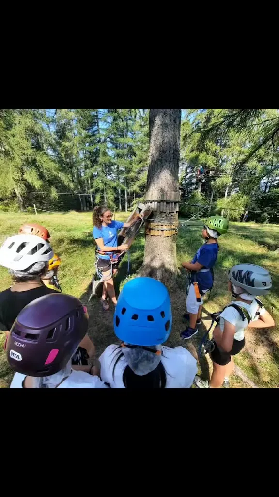 Franco Tavola_La libellula_Margno_review