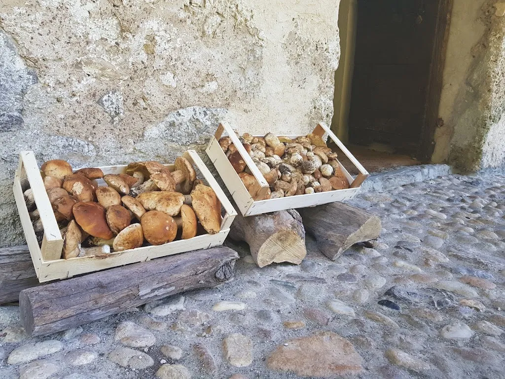 Menu_Il Mulino Marmentino_Marmentino_image_8