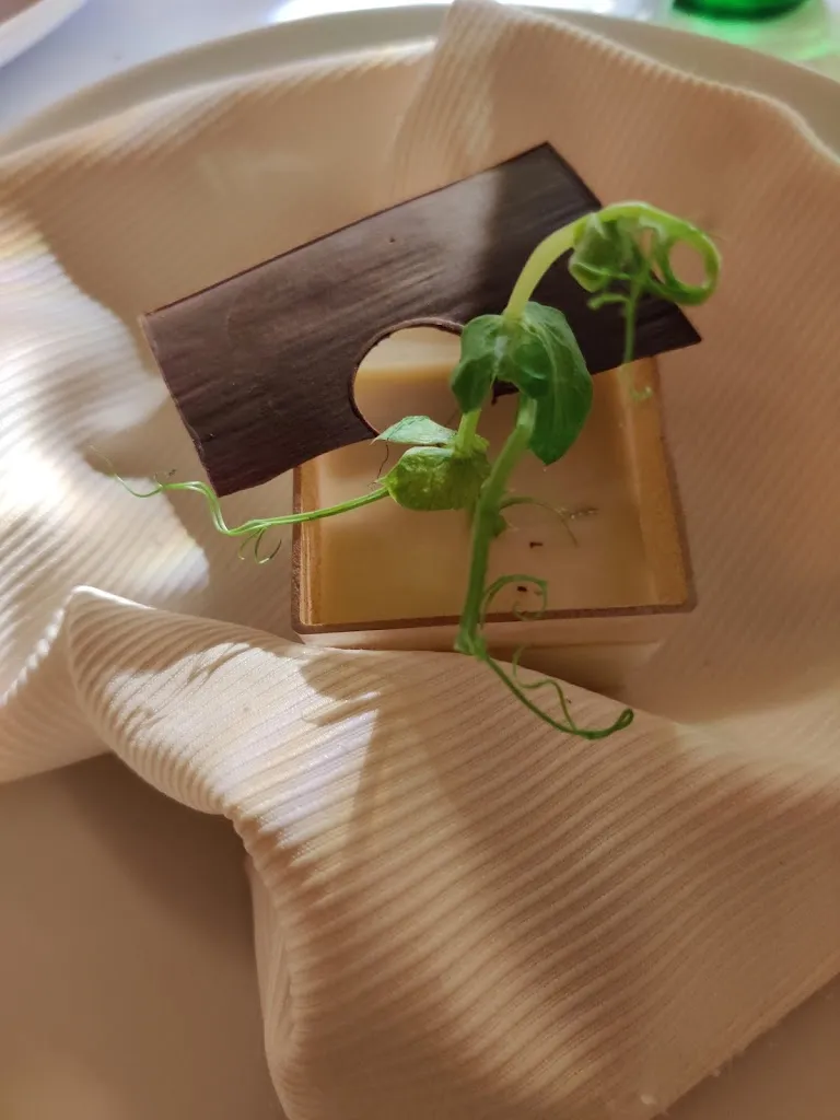 Menu_Masseria del Sale_Avetrana_immagine_9