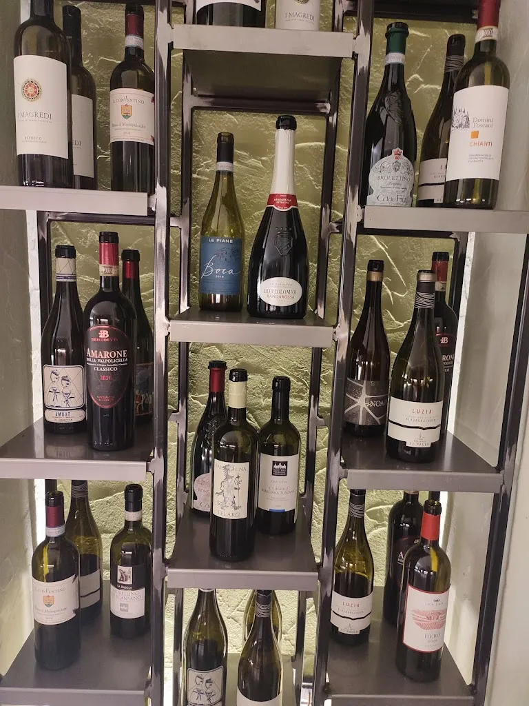 elisa mollaschi_The Wild Rabbit_Mediglia_recensione