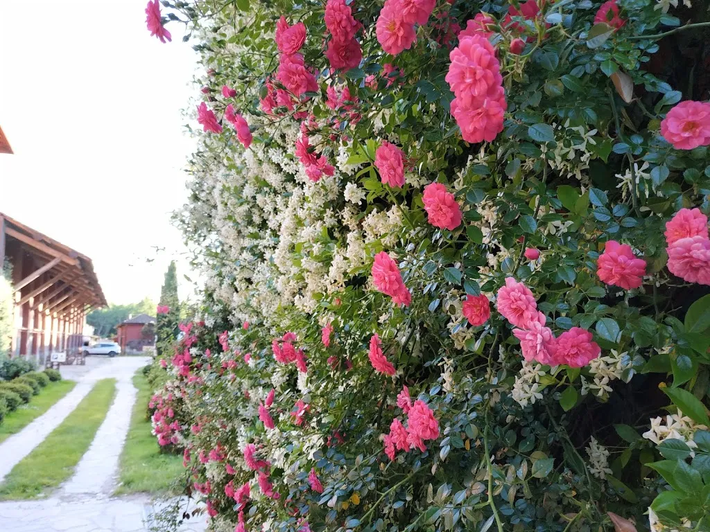 Diego_Agriturismo Cascina Maiocca_Mediglia_review