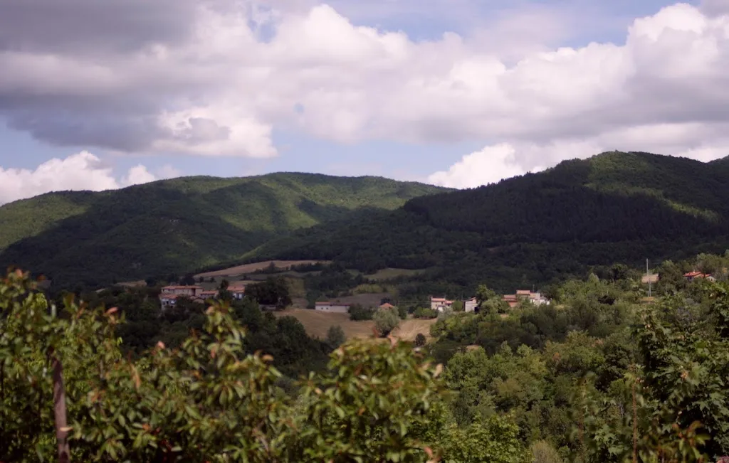 Viktor Holovin_La tana del lupo_Menconico_review