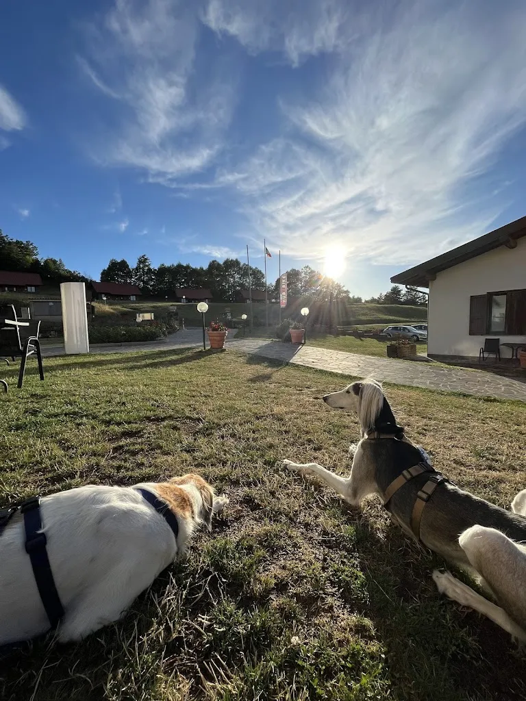 Annamaria Franco_La Pernice Rossa_Menconico_review