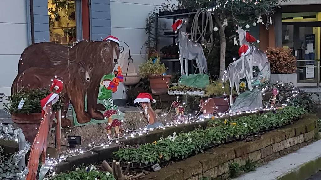 Luna Blu Di Bassetti Laura_Mercallo_slider_image_3