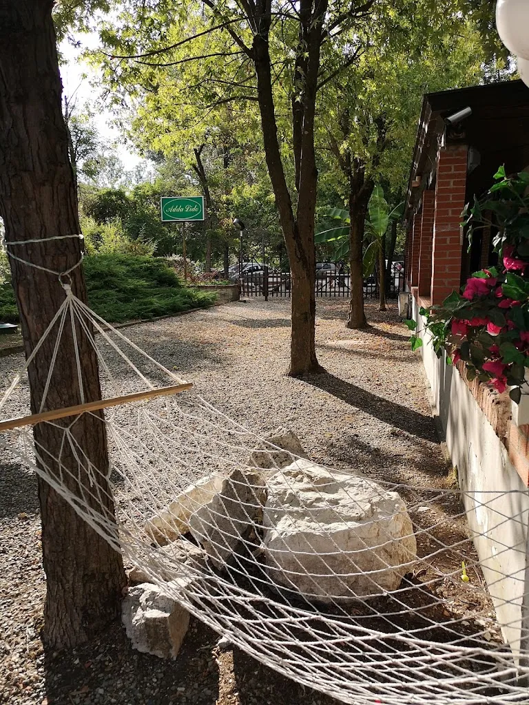 Diana Lapin_Adda Lido_Merlino_recensione