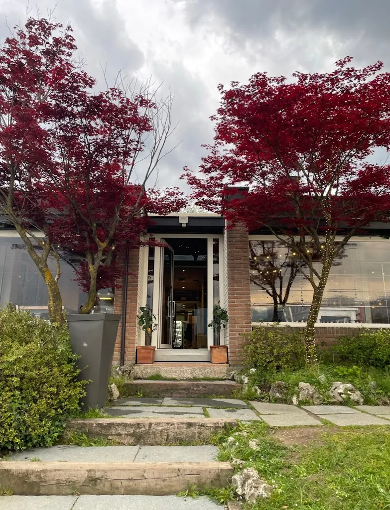 Iryna Lanko_La Limonaia_Merone_review