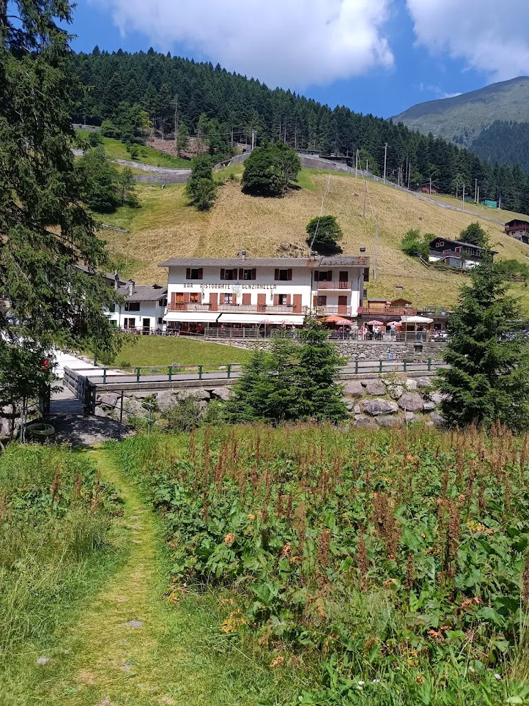 Albergo Ristorante Genzianella_Mezzoldo_slider_image_3