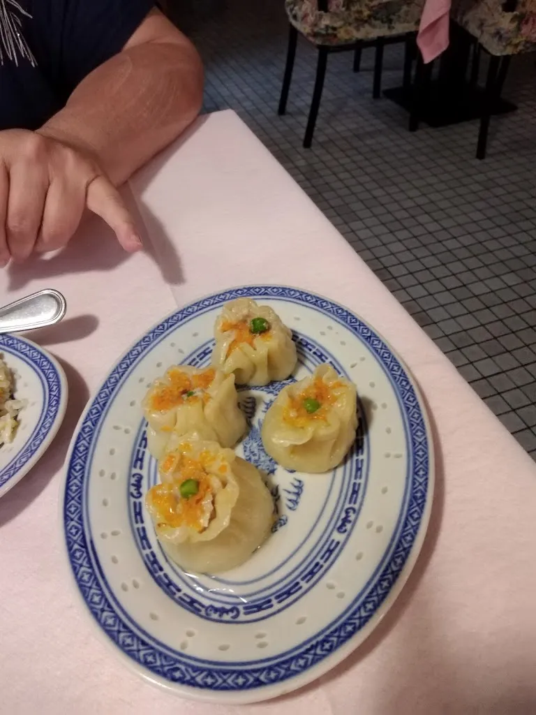 Menu_Ristorante Cinese Yang_Moglia_image_5