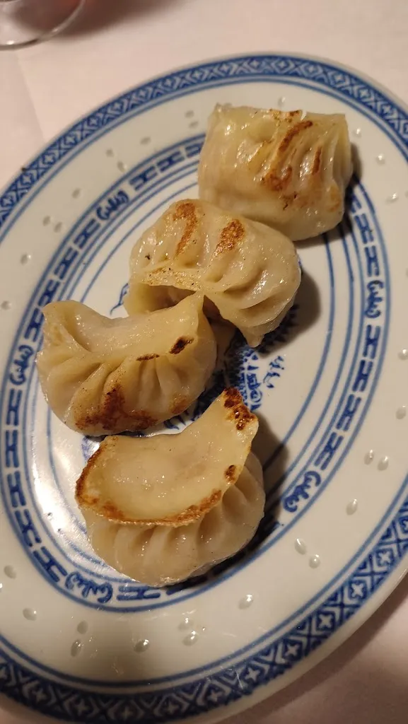 M_Ristorante Cinese Yang_Moglia_review