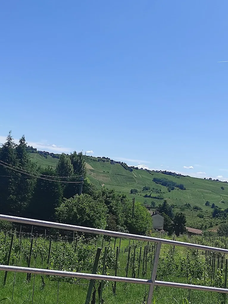 Paolo venanzio Semino_IRCCS Maugeri Montescano_Montescano_review