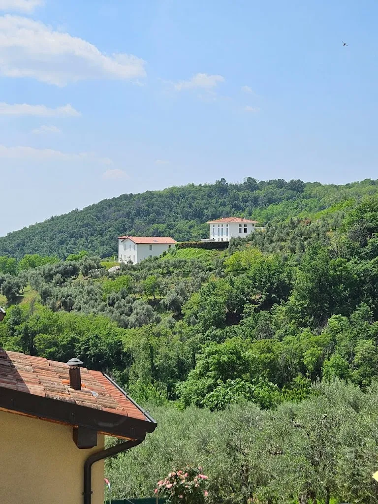 Gcobisa Bokleni-Toyi_Antica Trattoria Gaina di Bonfadini & C SNC_Monticelli Brusati_review