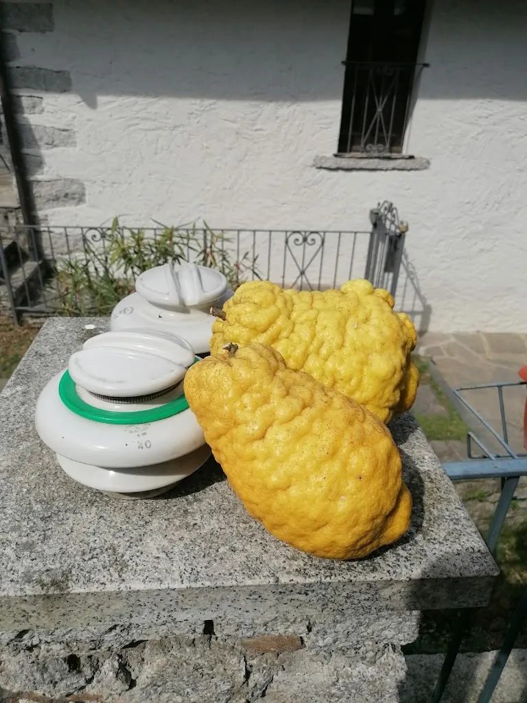 Menu_Home Restaurant_Montorfano_image_6