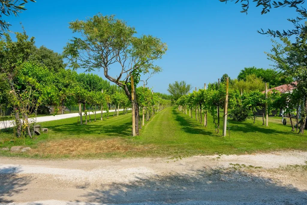 Agriturismo Il Filos_Monzambano_slider_image_3