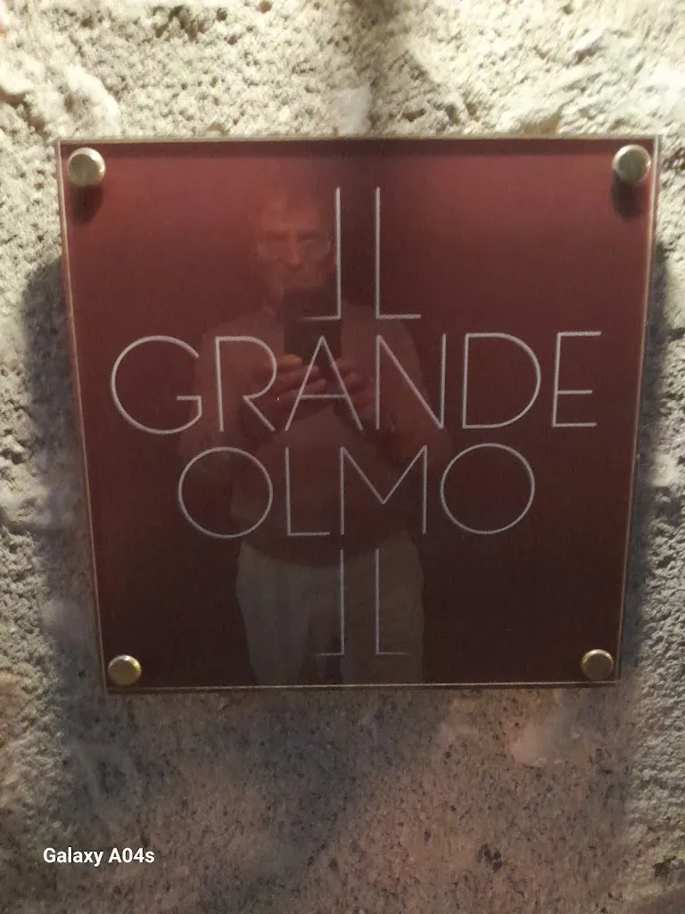 Raffaele Scilanga_Il Grande Olmo_Monzambano_review
